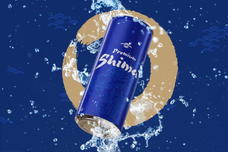 Japan Brush Style Font