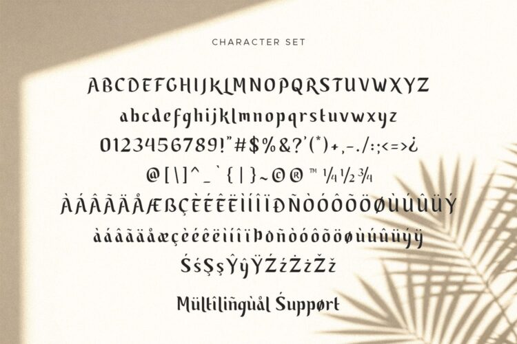 Modern Serif Font