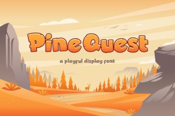 playful display font
